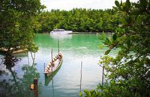 Phuket Deep Roots Jungle to Sea Kayaking and Trekking Adventure