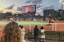 Horse Racing Tour with Local Fans in Tokyo（with Ticket）