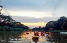 Chiang Mai: Kayak Under the Stars – 6 km to the Heart of the City