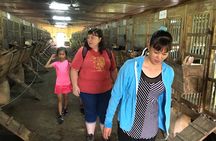 Authentic Vietnam Farming Full Day Small Group Tour