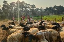 Authentic Vietnam Farming Full Day Small Group Tour