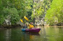 Ao Thalane Kayaking Mangrove Forests Adventure from Krabi 