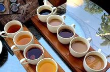 Healing purification spiritual Tour