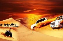 Desert Safari Dubai