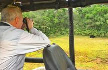 Wilpattu Wild Safari Day Trip - Private & All Inclusive