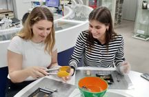 Exclusive Pearl Jewelry Making Activity in Tokyo