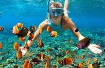 Day Trip: Nusa Penida Snorkling