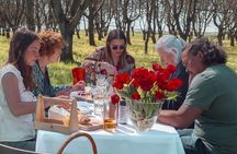 Picnic in the shade of the walnut trees and private visit-tasting