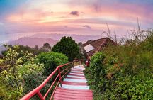 Fast Lane Penang Hill with Kek Lok Si Temple private tour