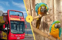 Cape Town Hop-on Hop-off & World of Birds Combo