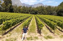 Private Cape Town Wine Tour 3 Tastings, Lunch and Expert Guide