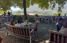 Private Cape Town Wine Tour 3 Tastings, Lunch and Expert Guide