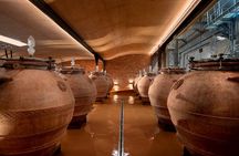 Private Cape Town Wine Tour 3 Tastings, Lunch and Expert Guide