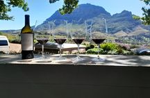 Robben Island, Table Mountain, Wine Tasting at Groot Constantia