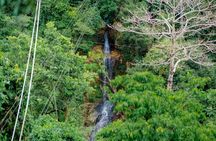 Koh Samui Jungle Zipline and Cafe with Waterfall Views