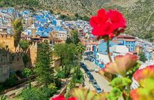 Chefchaouen Private Tour from Tangier One Full Day! 