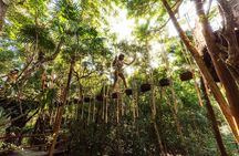 ATV, Zipline and Cenote at Extreme Adventuring with Tulum Pickup
