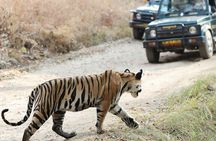 Chitwan jungle safari with canoe river ride