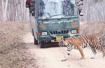 Chitwan jungle safari with canoe river ride