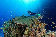 Ras Mohammed & White Island Boat Trip With Lunch -Sharm El Sheikh