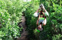 Best ATV Tour, Horseback Riding, Zip Lines, Cenote Swim, Tequila Tasting
