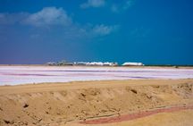 Coloradas & Rio Lagartos Excursion from Playa del Carmen
