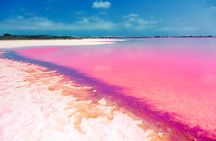 Coloradas & Rio Lagartos Excursion from Playa del Carmen