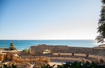 From Barcelona: Private Tarragona Guided Tour with Free Time