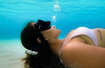 The best snorkel in Cozumel Cielo from Playa del Carmen