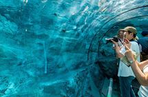 Asahiyama Zoo, Biei Blue Pond & Shirogane Falls Tour from Sapporo