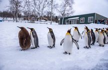 Asahiyama Zoo, Shirahige Falls, Biei, and Blue Pond Day Tour