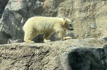 Asahiyama Zoo, Shirahige Falls, Biei, and Blue Pond Day Tour