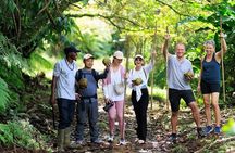 St. Lucia Rainforest ATV Ride from Belle Plaine