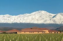 Stories of Malbec by Lujan de Cuyo