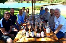 Stellenbosch Wine Tasting Tour