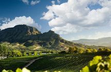 Stellenbosch Wine Tasting Tour