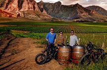 Stellenbosch Wine Tasting Tour