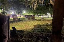 Savannah Beyond Good & Evil Tour