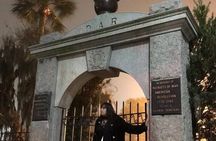Savannah Beyond Good & Evil Tour