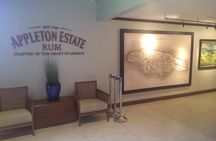 South Coast Cultural Tour History and Nature