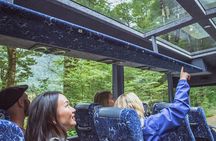Milford Sound Coach and Cruise tour from Queenstown