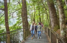 Milford Sound Coach and Cruise tour from Queenstown