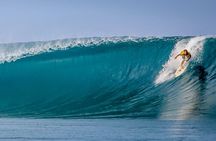 Private Whale Outing on the Tahiti Peninsula