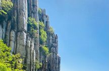 Zhengzhou private day tour to Shaolin Temple with Kungfu show