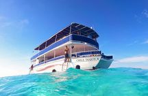 Discovering El Cielo Reef by Double Decker Catamaran