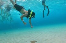 Discovering El Cielo Reef by Double Decker Catamaran