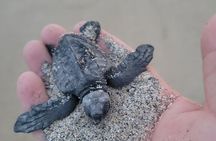 Enjoy Puerto Escondido with Beach and Nature from Oaxaca