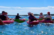 Kayak Tour to Magdalene Island with Snorkeling and Typical Aperitif