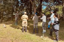 Kigali to Volcanoes National Park Tour