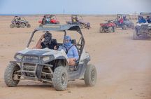 Hurghada Super Quad, Spider car, Dinner, show, free shopping 